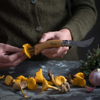 Couteau à champignons Opinel N°08 + étui | OPINEL