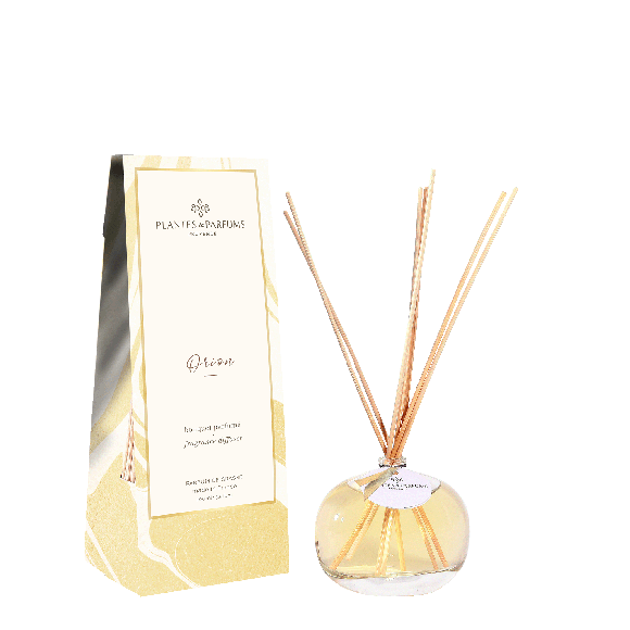 Bouquet parfumé Orion 100ml