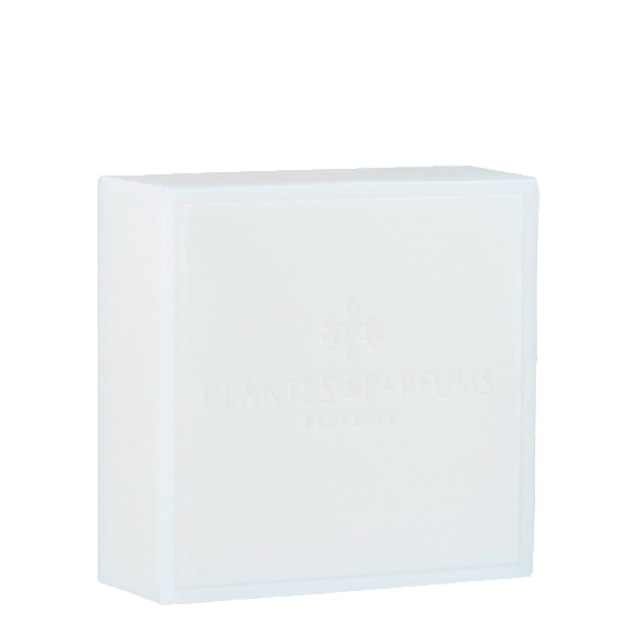 Savon de Marseille à l'Aloé Vera 100g Bambou blanc