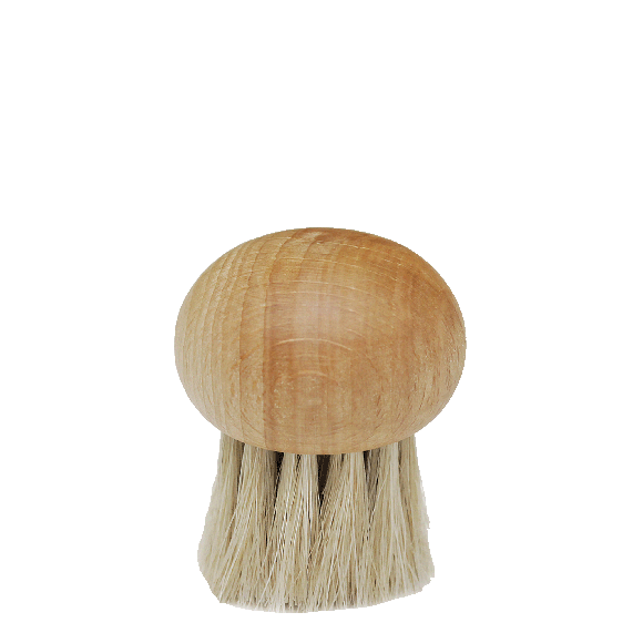 Brosse à champignons en hêtre