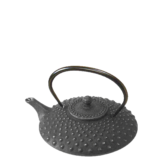 Théière en fonte du japon Iwachu noire 9.5 dl