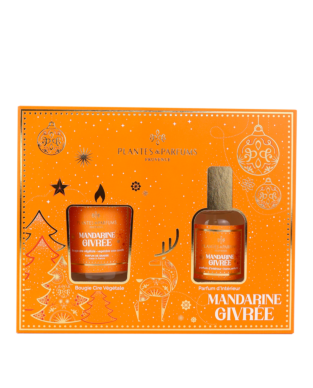 Duo Mini Bougie & Parfum d'int&eacute;rieur Mandarine Givr&eacute;e