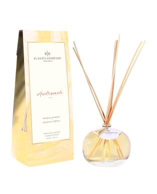 Bouquet parfum&eacute; Androm&egrave;de 100ml