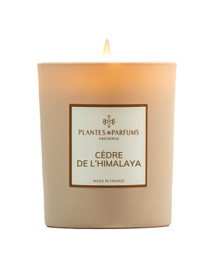Bougie parfum&eacute;e v&eacute;g&eacute;tale - Ingr&eacute;dients naturels