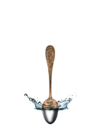 Silver Bath 580ml for Personal Use | HAGERTY