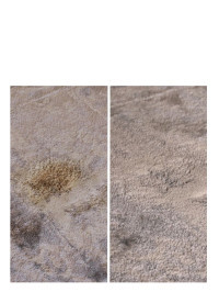 5* Shampooing tapis & moquettes 1L | HAGERTY