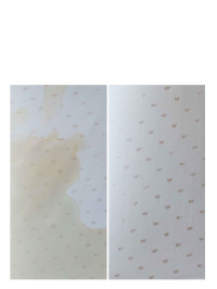 SOS Cleaner 500ml | HAGERTY