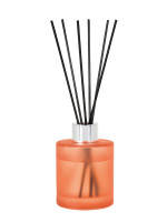 Bouquet parfumé Déco Cannelle d'Oranger du Sri-Lanka 115ml | AMBIANCES DEVINEAU