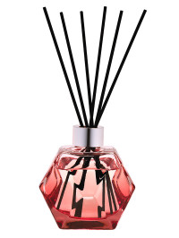 Bouquet parfumé Geometry Grenadine & Paris Chic | MAISON BERGER