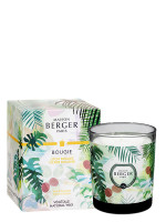 Bougies