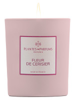 Pflanzliche Duftkerze Kirschblüte 180g | PLANTES & PARFUMS