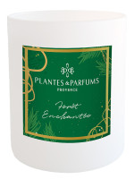 Duftkerze Zauberwald 180g | PLANTES & PARFUMS