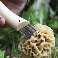 Couteau à champignons Opinel N°08 | OPINEL